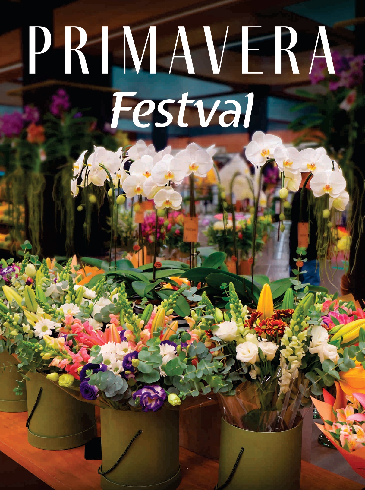 Caderno Festval Curitiba - Primavera - 22 de setembro a 04 de outubro de 2026