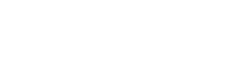 Logo Festval